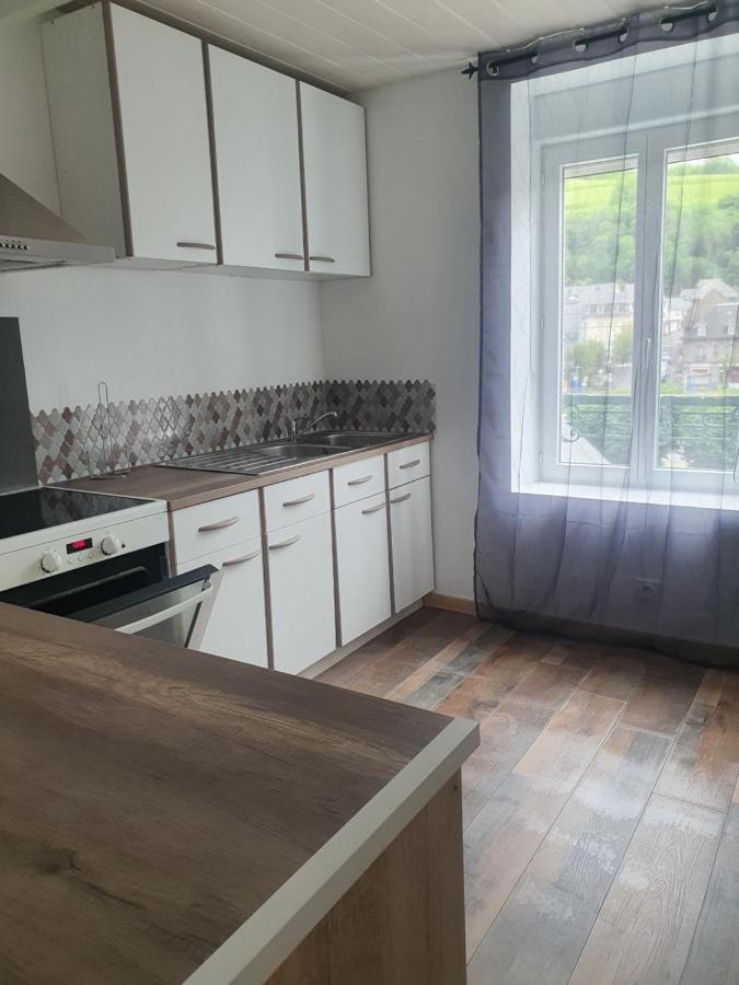Bienvenue Chez Les Ch'Oups Le Cocoon Apartment La Bourboule Ngoại thất bức ảnh
