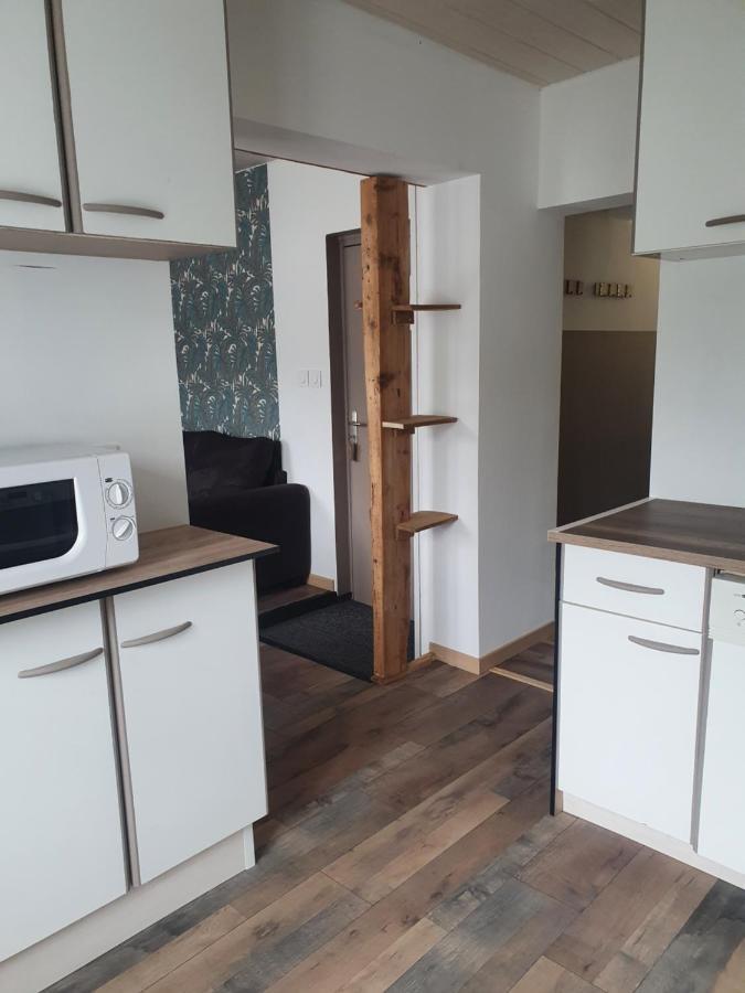 Bienvenue Chez Les Ch'Oups Le Cocoon Apartment La Bourboule Ngoại thất bức ảnh
